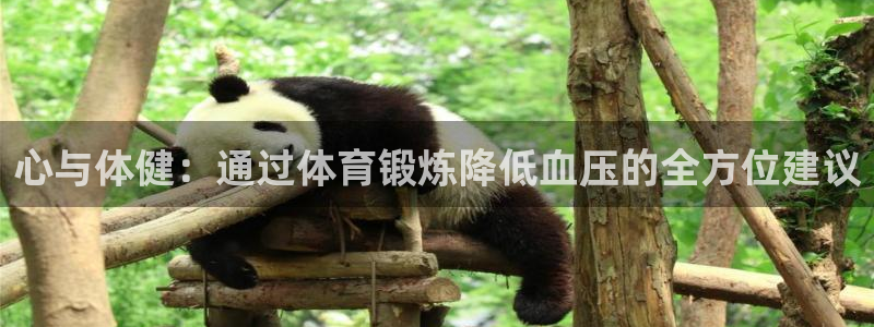 oety欧亿：心与体健：通过体育锻炼降低血压的全方位建议
