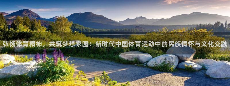 oety欧亿：弘扬体育精神，共筑梦想家园：新时代中国体育运动中的民族情怀与文化交融