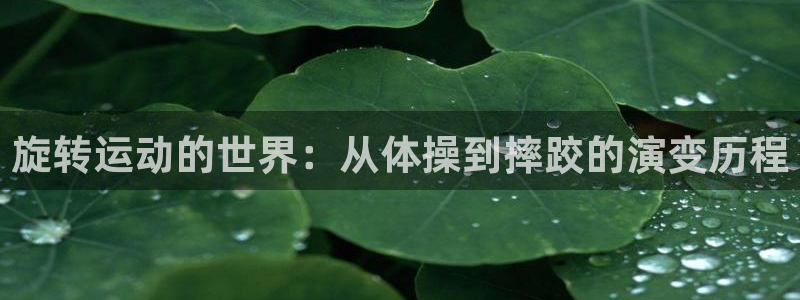 oety欧亿：旋转运动的世界：从体操到摔跤的演变历程