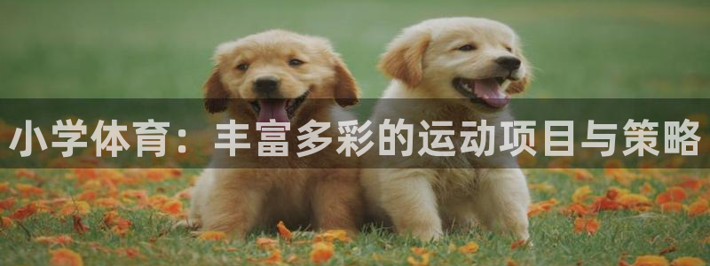 oety欧亿：小学体育：丰富多彩的运动项目与策略