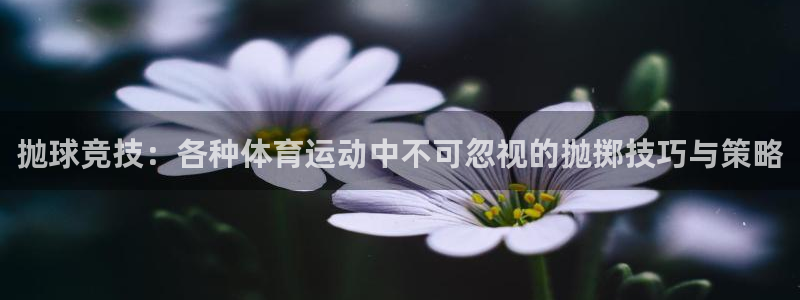oety欧亿：抛球竞技：各种体育运动中不可忽视的抛掷技巧与策略