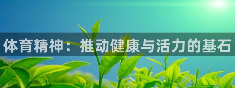 oety欧亿：体育精神：推动健康与活力的基石